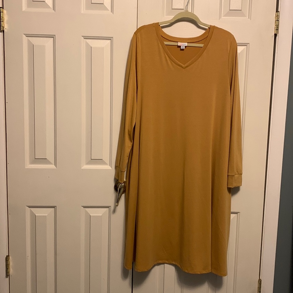 EUC Lularoe Emily XL